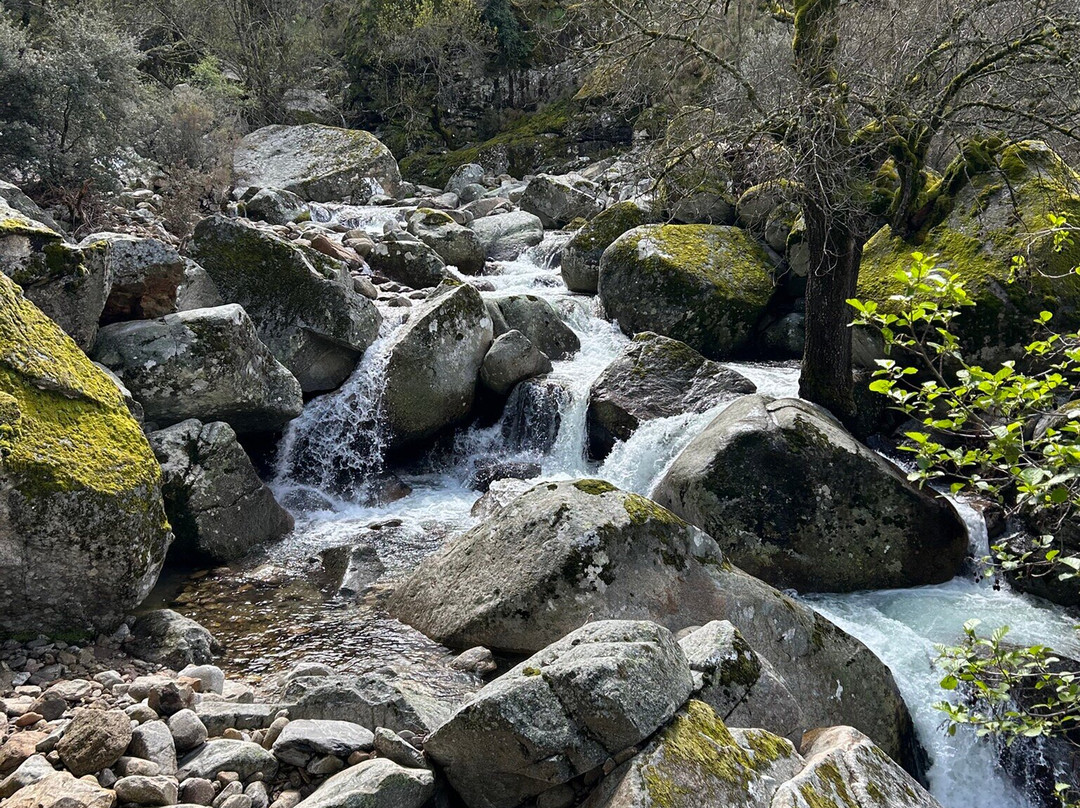 Reserva Natural Garganta de Los Infiernos-赫尔特必去景点