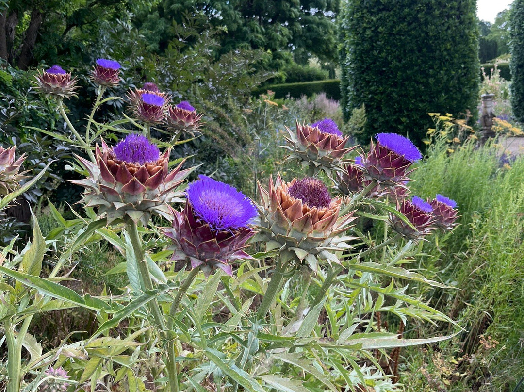 Loseley Park-吉尔福德必去景点