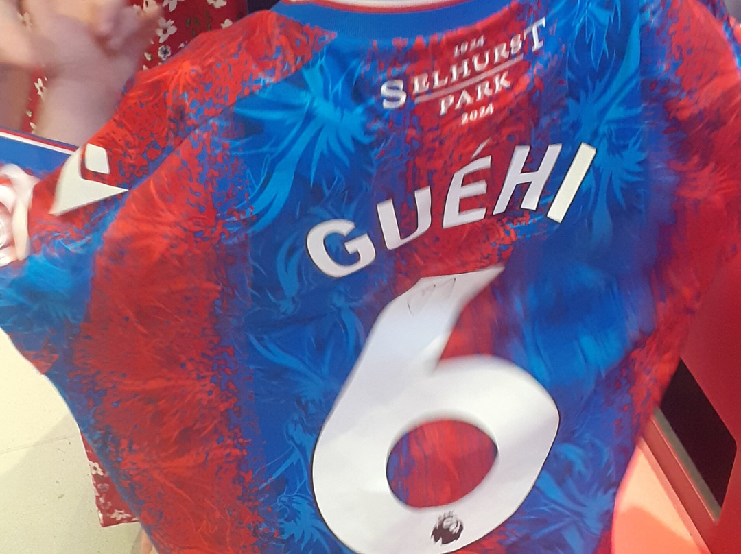 塞尔赫斯特公园球场-伦敦必去景点