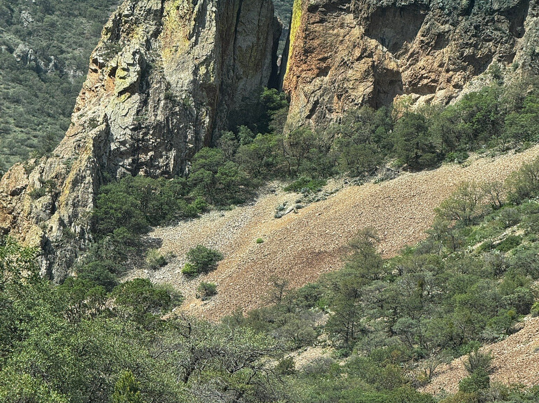 Get Lost Tours-Terlingua必去景点