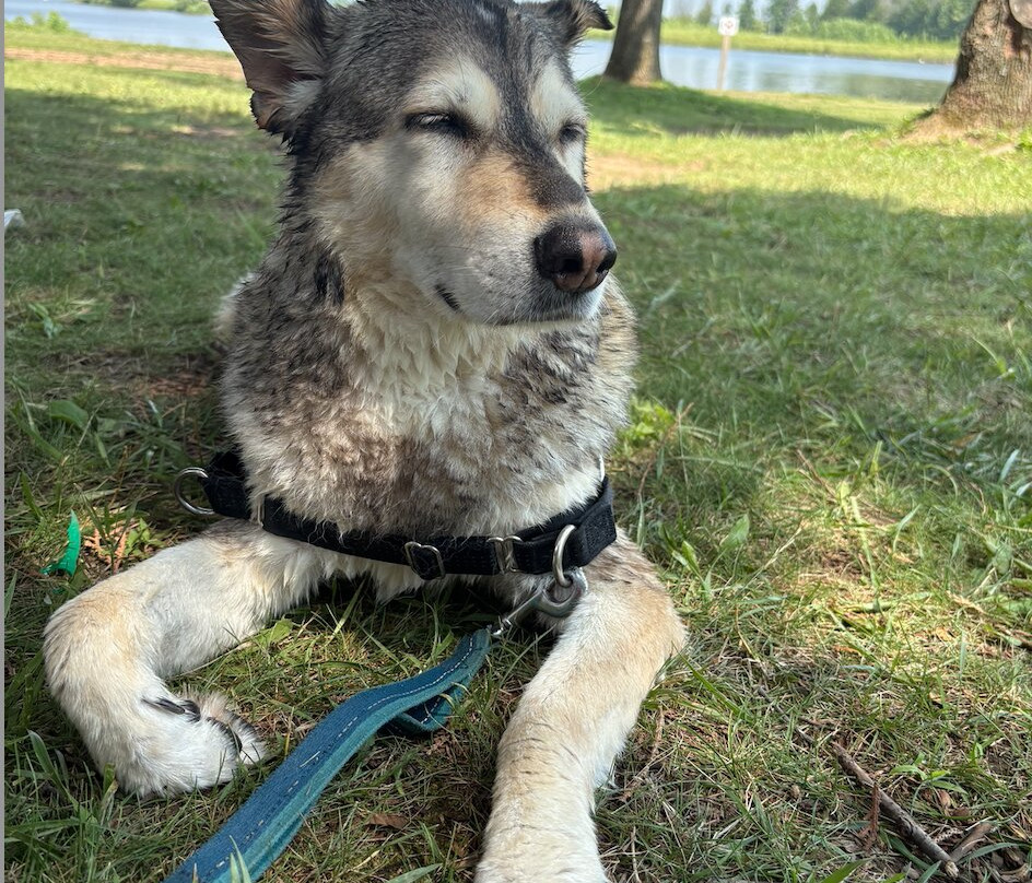 Voyageur Provincial Park-East Hawkesbury必去景点