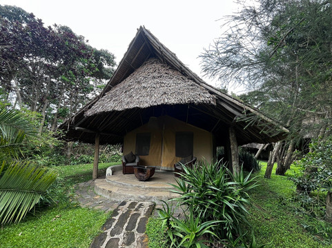 AMA Safaris-内罗毕必去景点