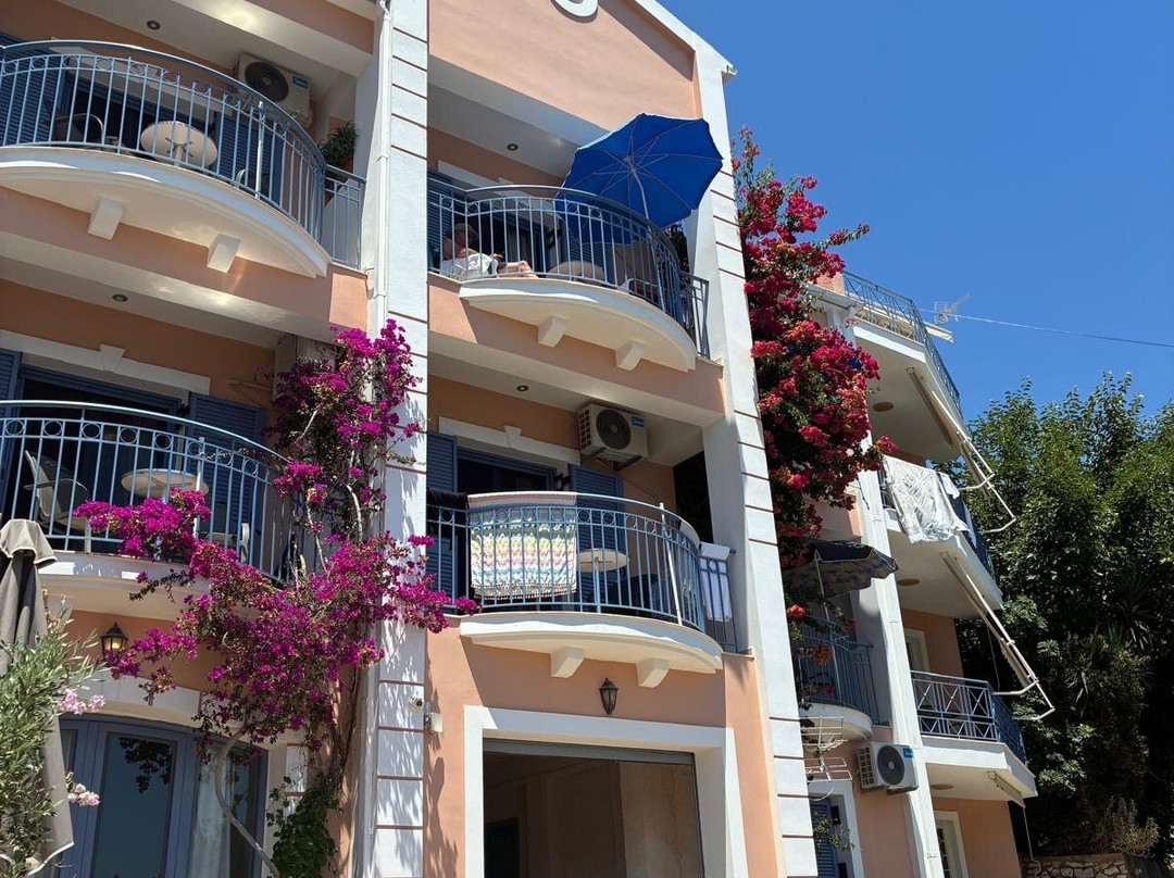 橄榄湾酒店主图