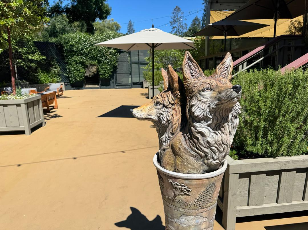 纳帕谷梅都伍德酒店主图