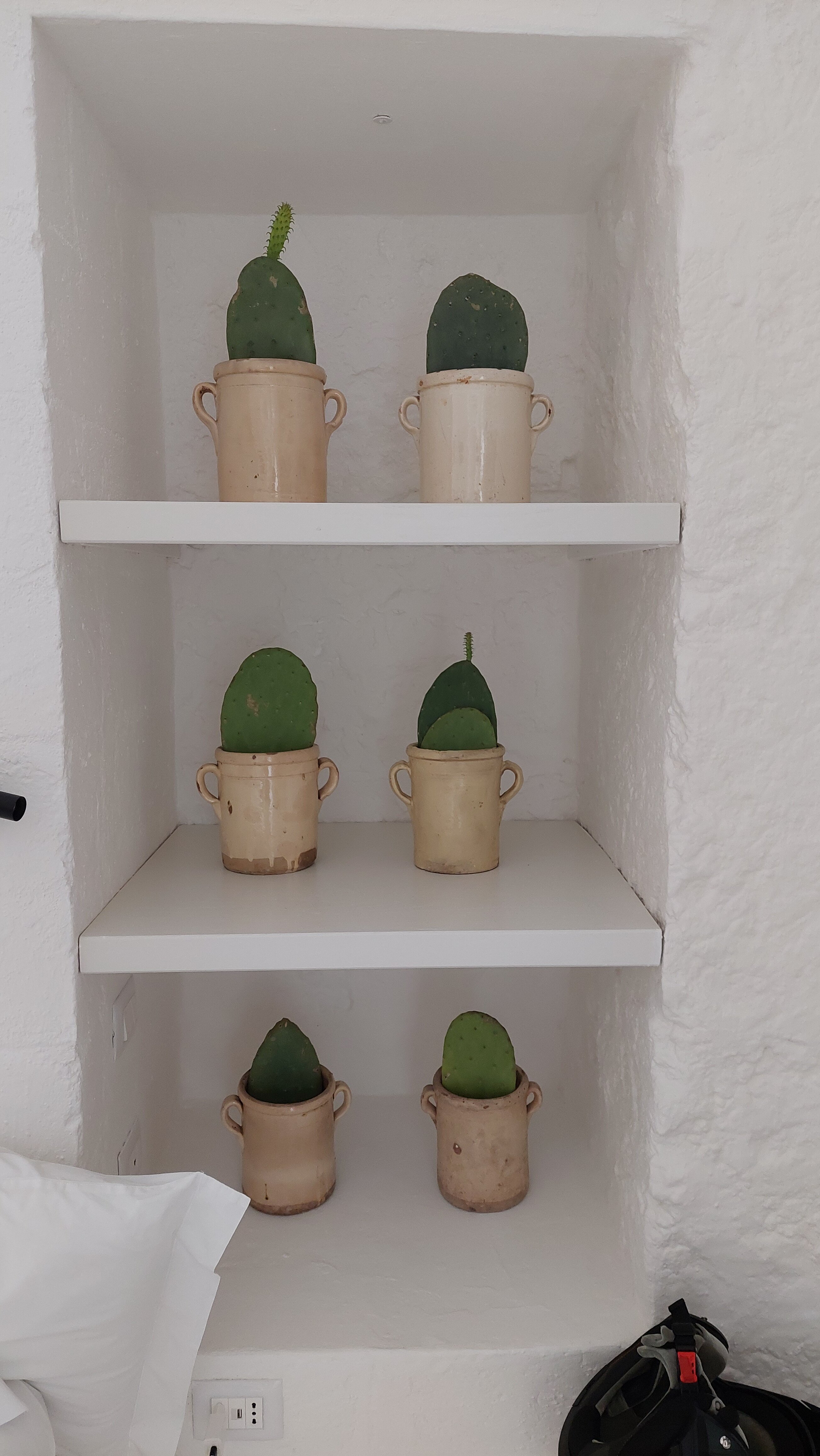 Corte Manfredi-官方