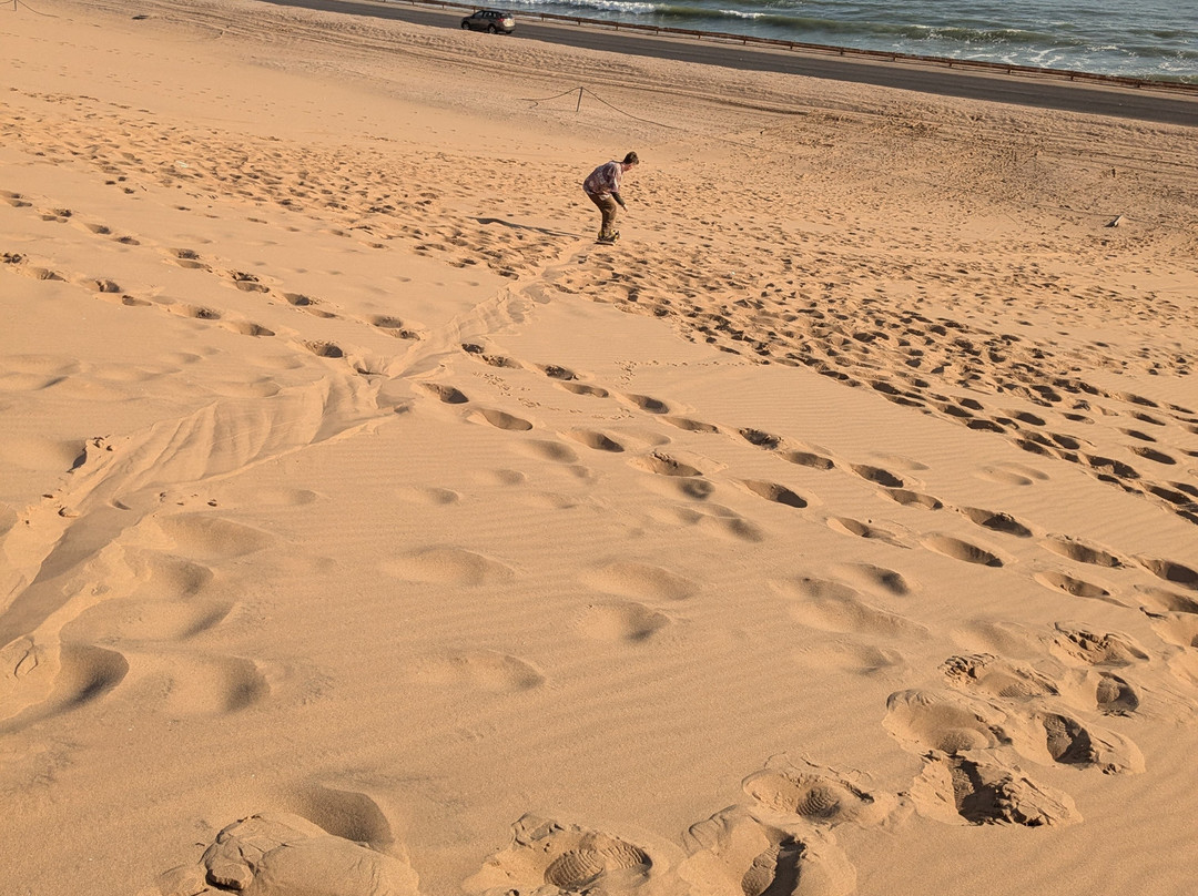 Ultimate Sandboarding-斯瓦科普蒙德必去景点