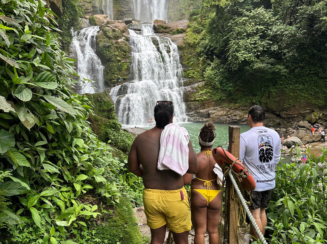 Aracari Experience-乌维塔必去景点
