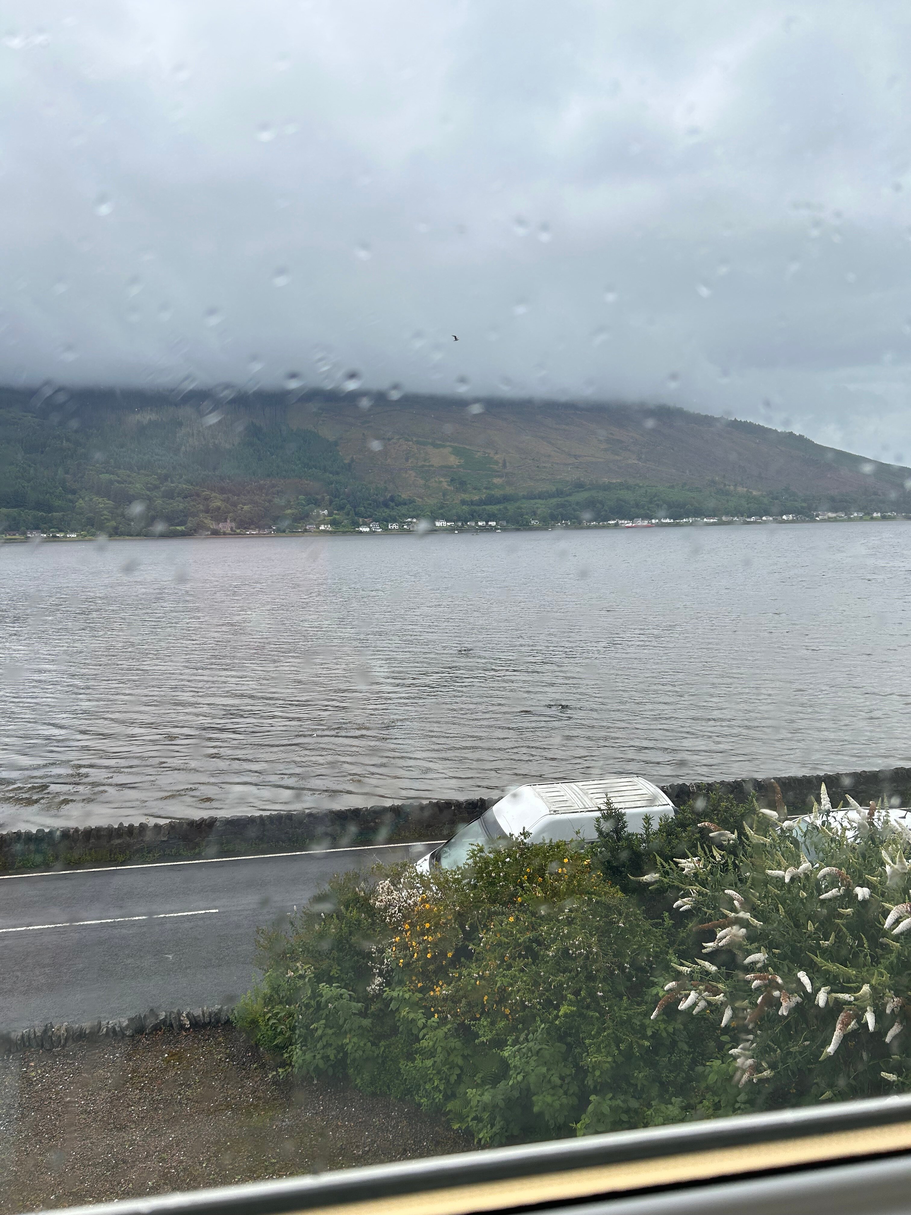 Clyde View B&B-客卧