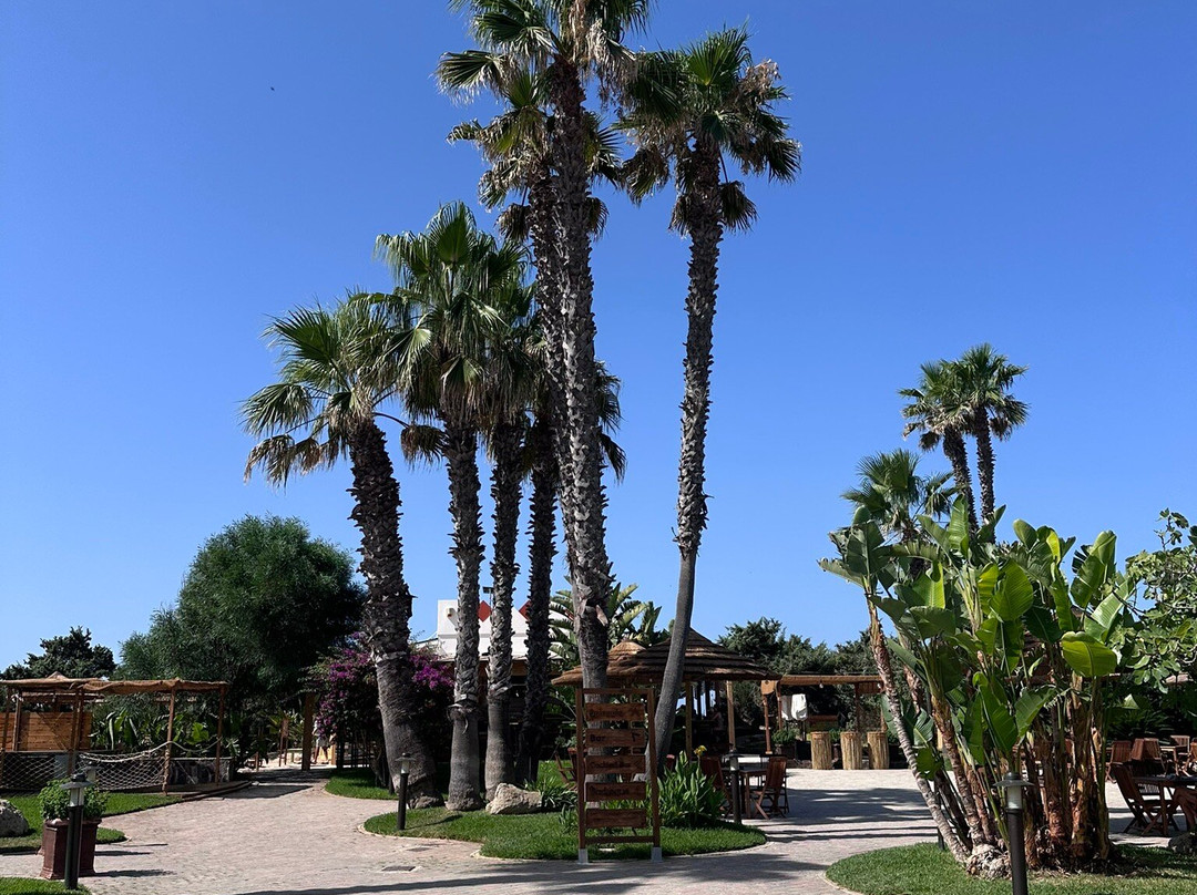 Orange Sun Sporting Club-切萨雷奥港必去景点