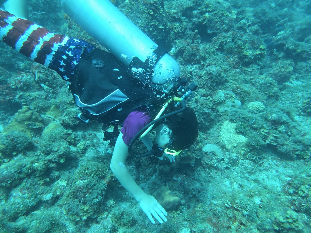 JJ Divers St Thomas-夏洛特阿马利亚必去景点