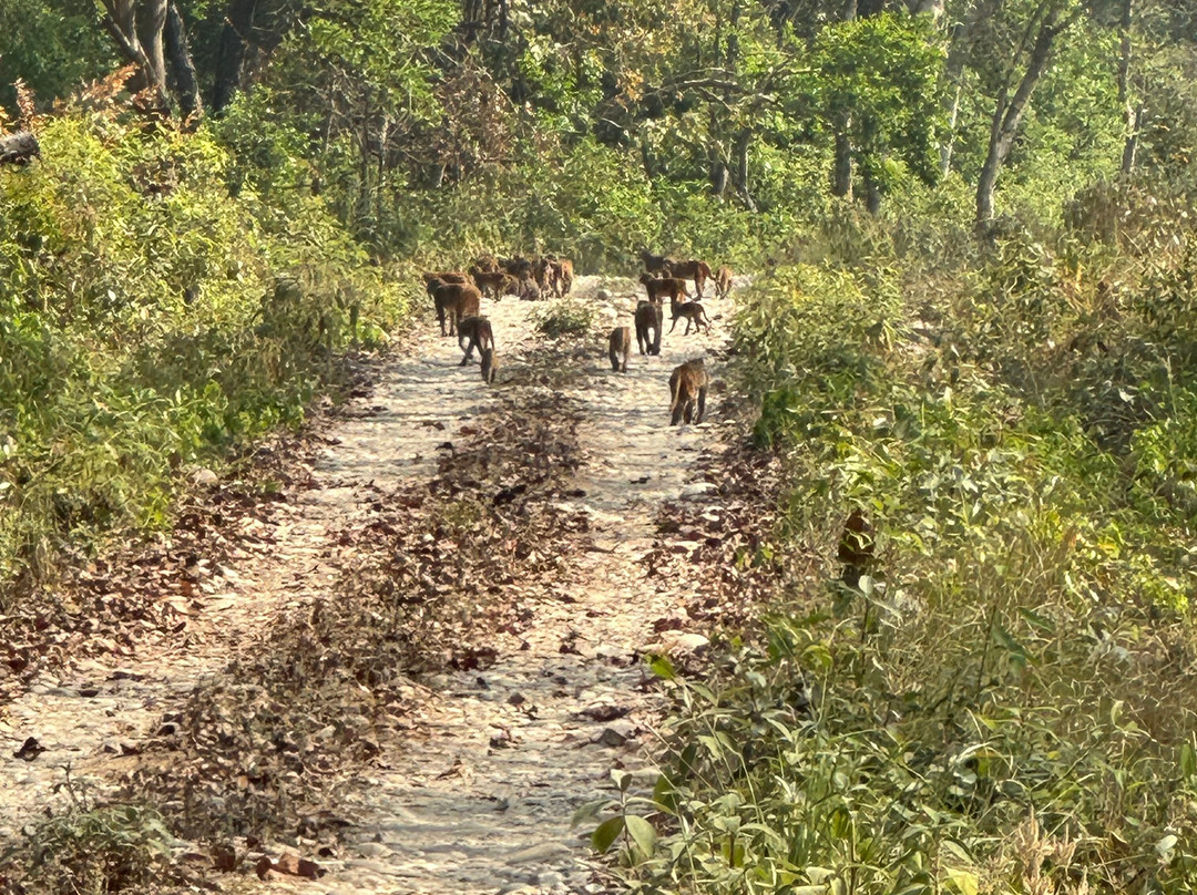 Nepalganj-Kosi Zone必去景点