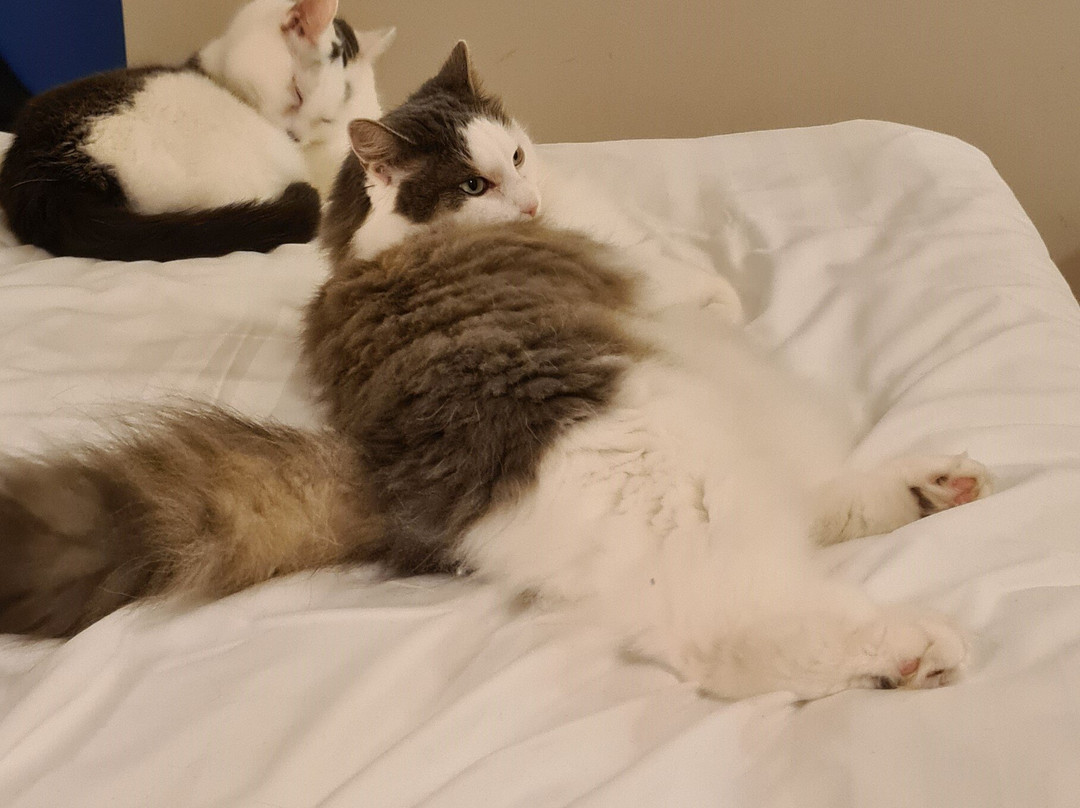 Scandic Hyvinkää主图