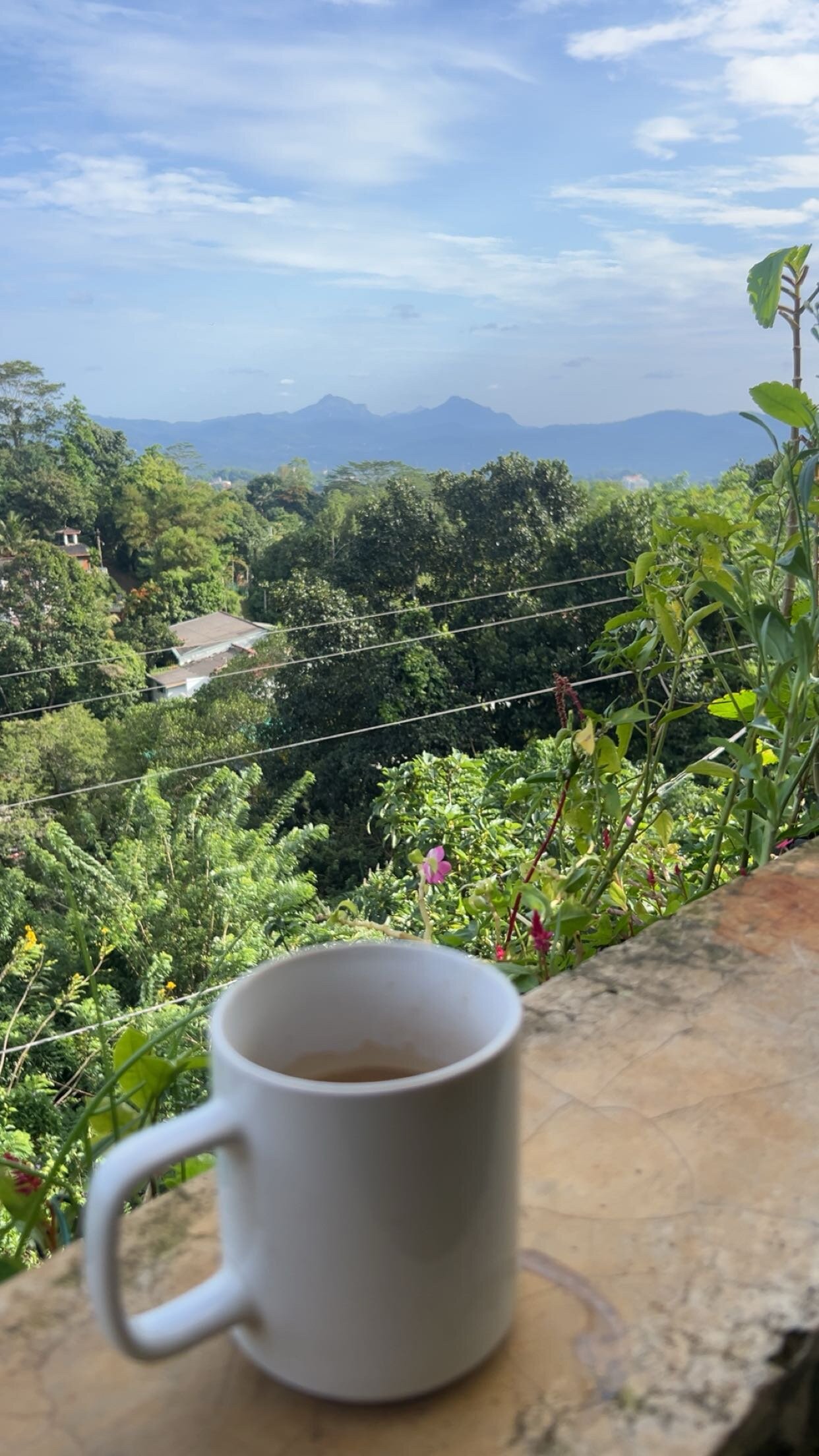 Eagles Rest Homestay Hanthana-官方