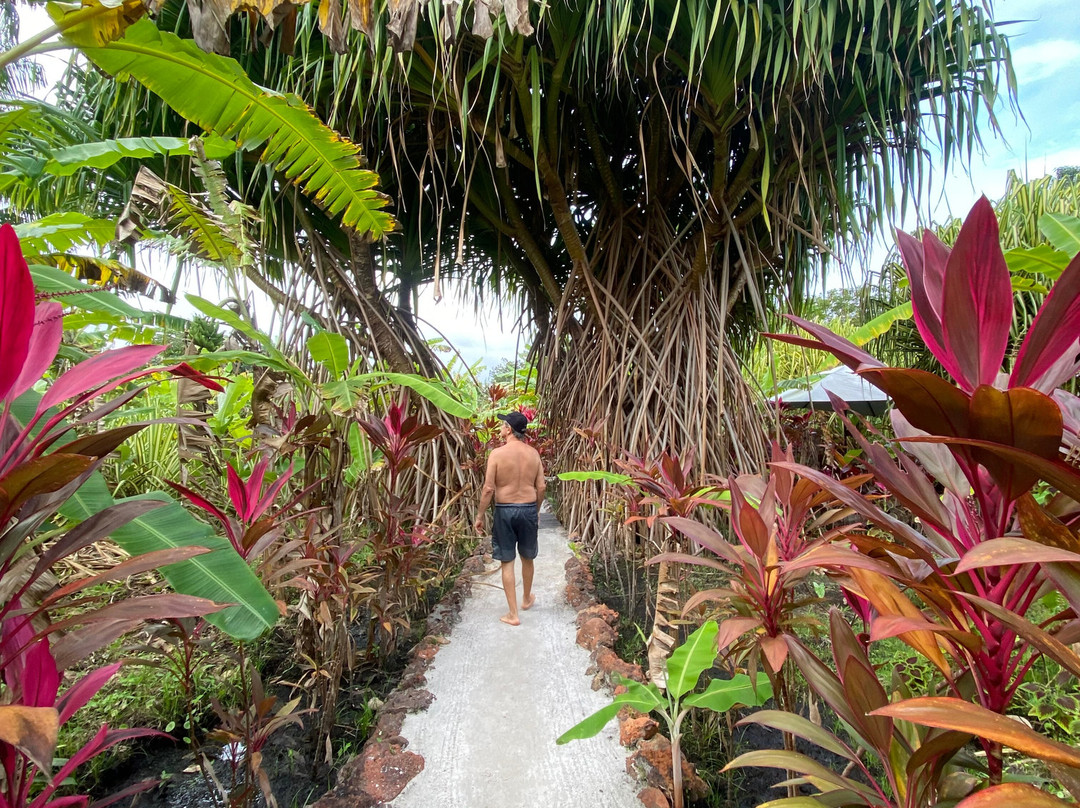 Tao Paradise-Pureza必去景点