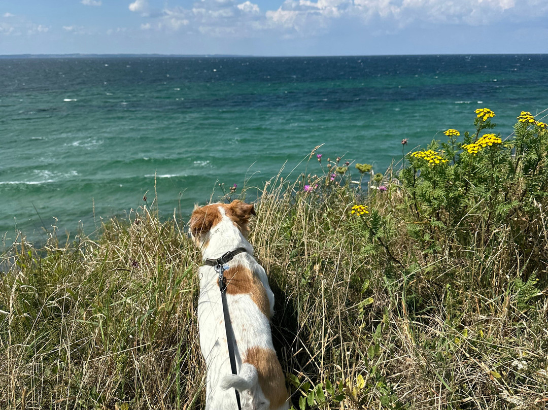 Aero Golf Club-Soeby必去景点