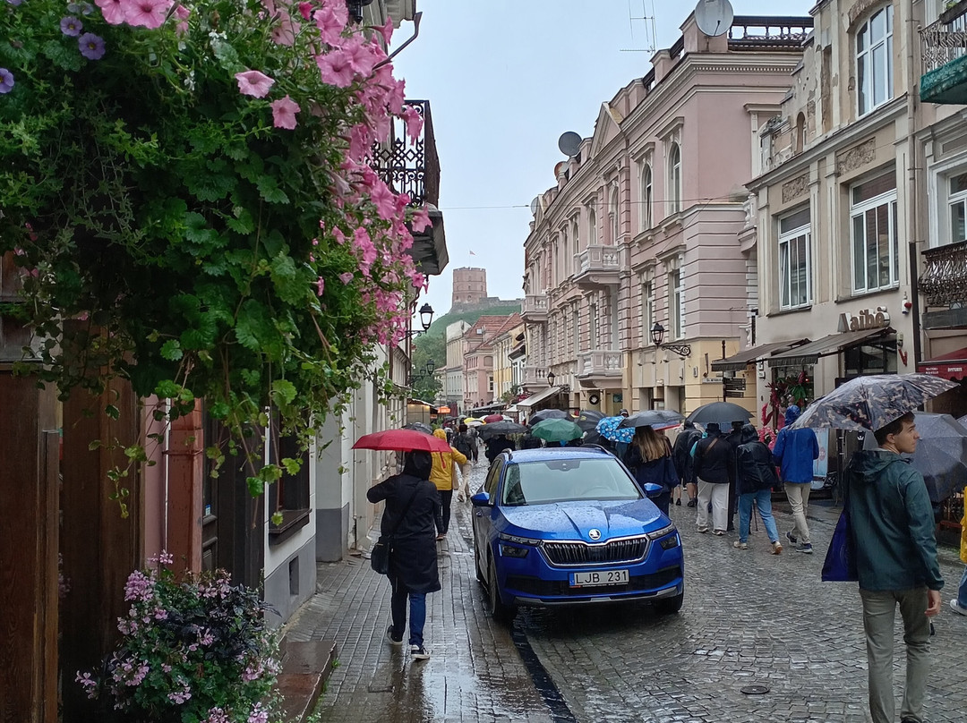 Yellow Vilnius Free Walking Tour-维尔纽斯必去景点