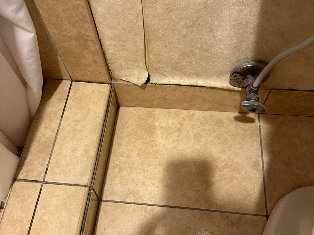 Cousin's Country Inn主图