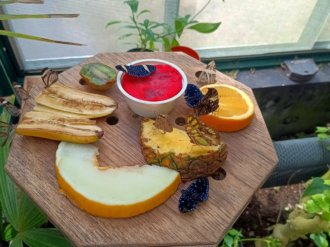 Portsmouth Natural History Museum-普兹茅斯必去景点