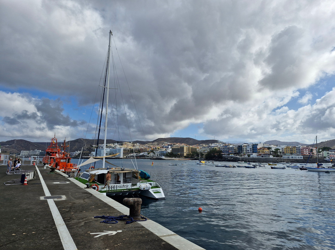 Lineas Blue Bird-莫干山必去景点