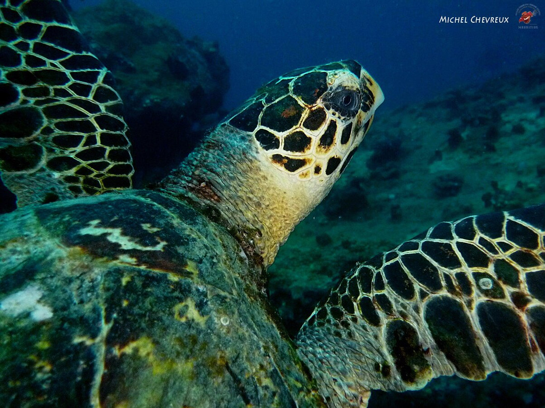 Exploration Sous-Marine-弗力克昂弗雷克必去景点