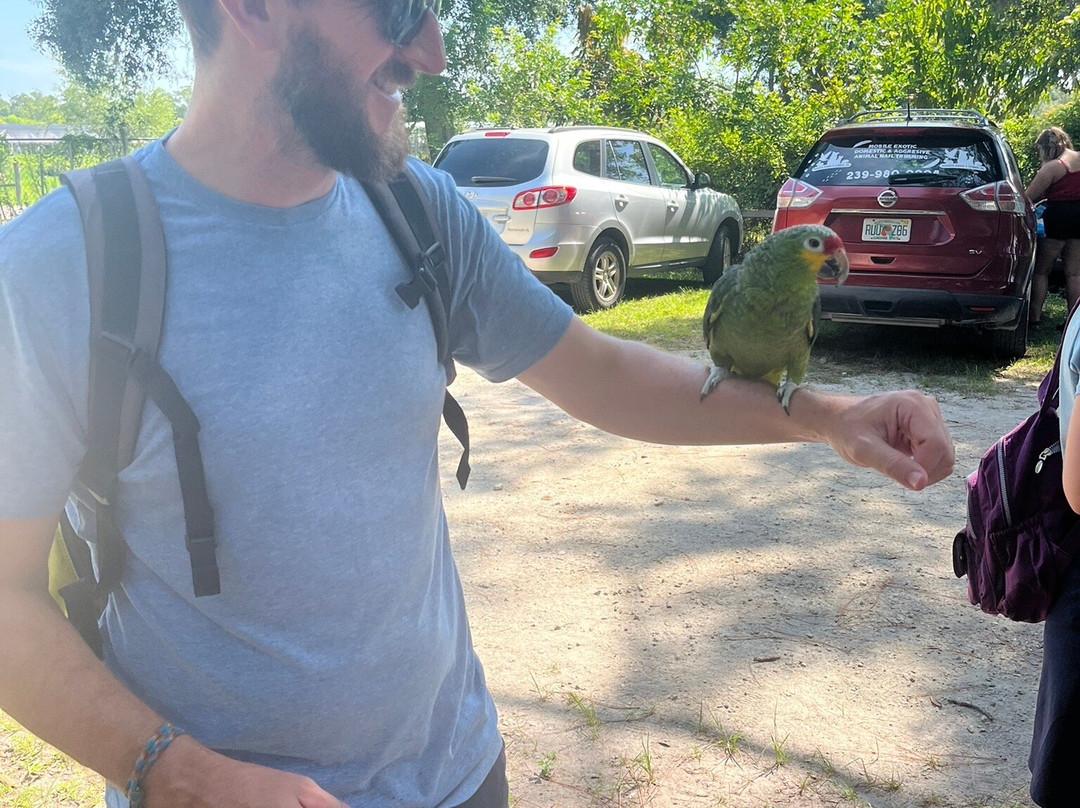 Bird Gardens of Naples-那不勒斯必去景点