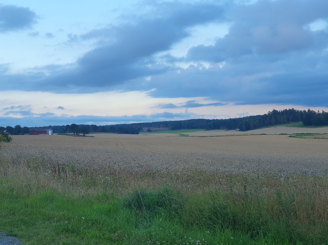 Blaxsta Vingard-Flen必去景点