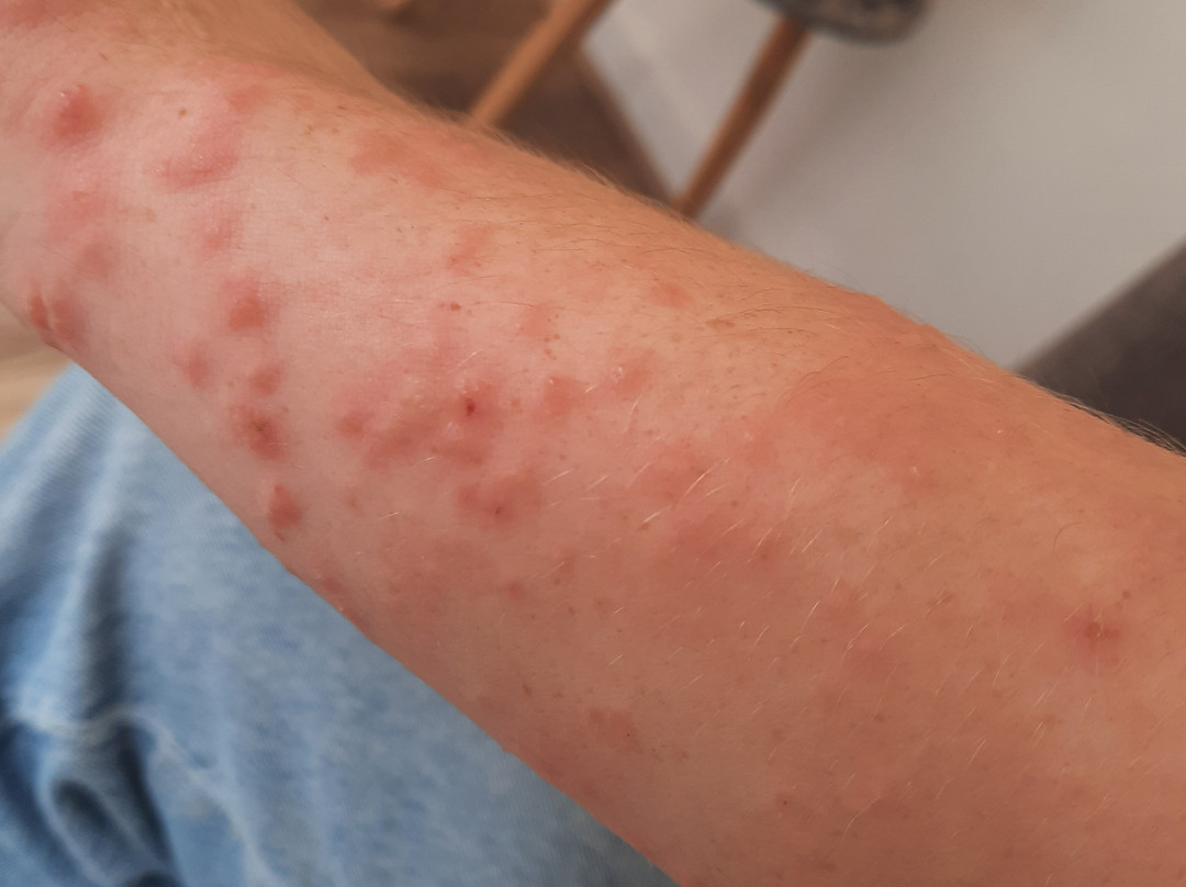 Plan d'Eau du Canada-博韦必去景点