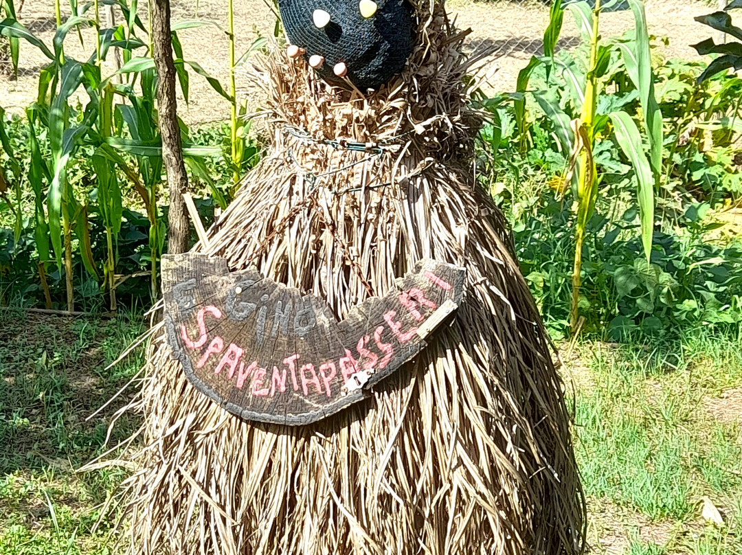 SentierElsa-埃尔萨谷口村必去景点