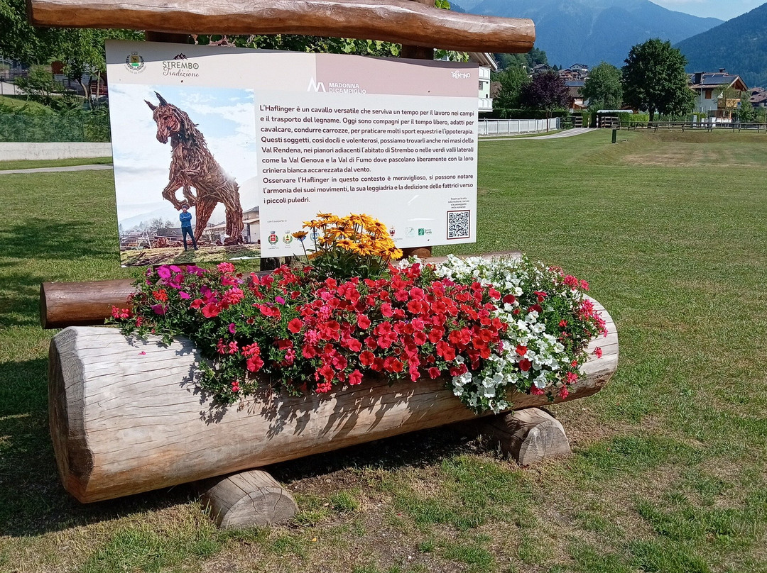 Haflinger Di Strembo-Strembo必去景点
