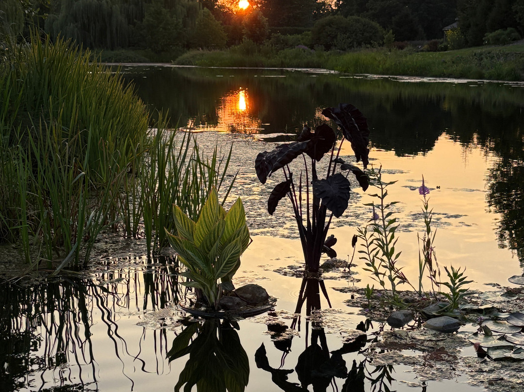 Cantigny-Wheaton必去景点