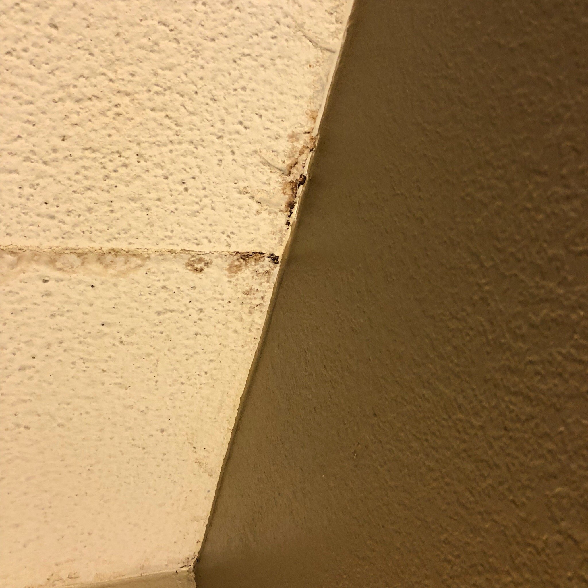 Spark By Hilton Lexington-官方