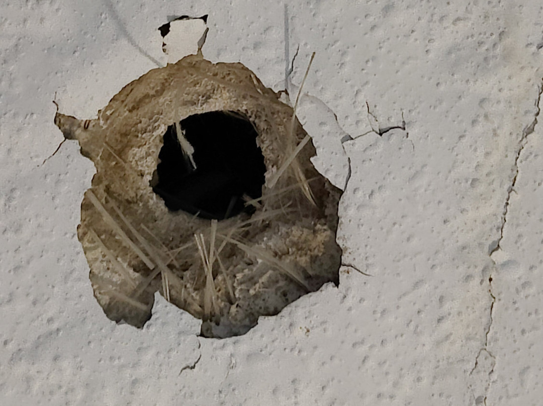 Pension Venta de Tebar主图