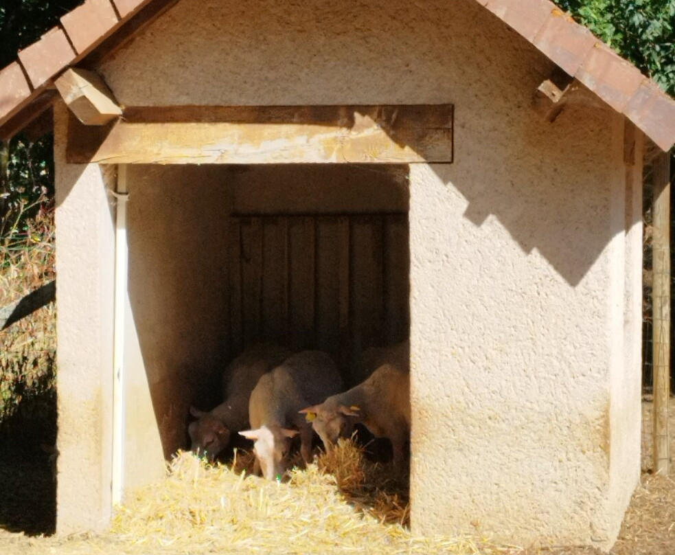 Mouton Village-Vasles必去景点