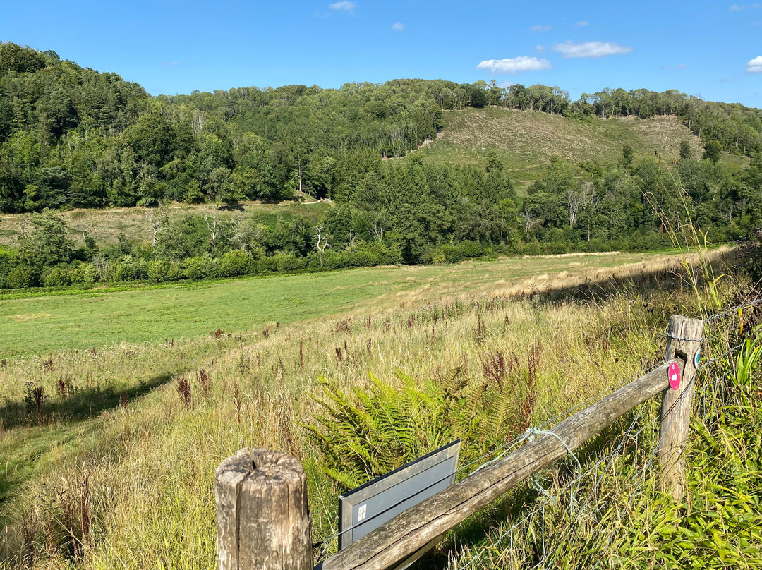 Woodchester Park-斯特劳德必去景点