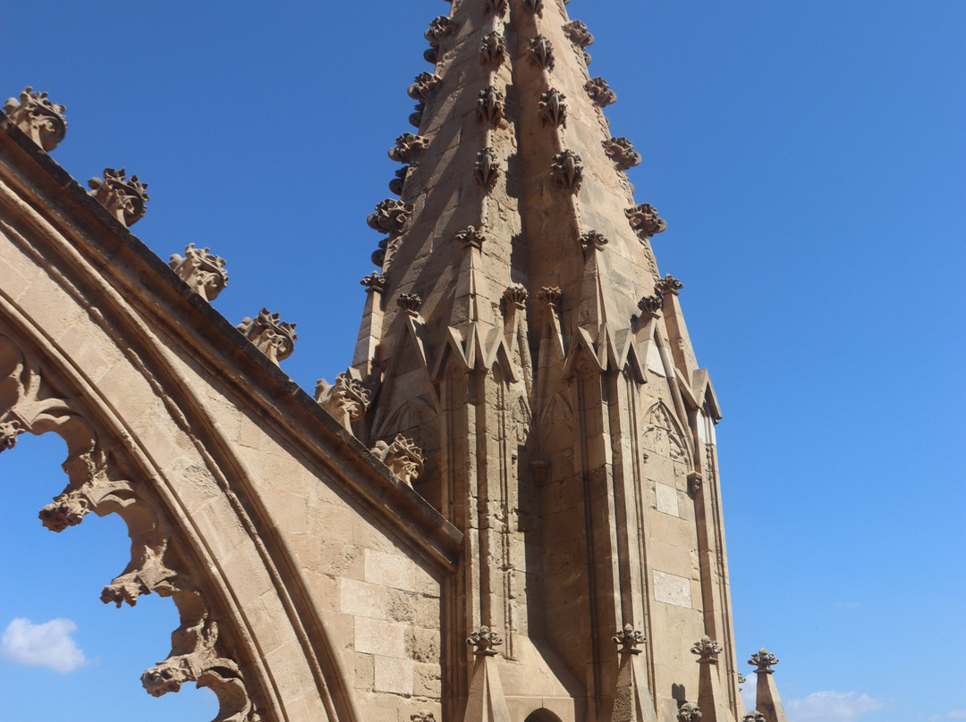 Terrazas de la Catedral de Palma-马洛卡帕尔马必去景点
