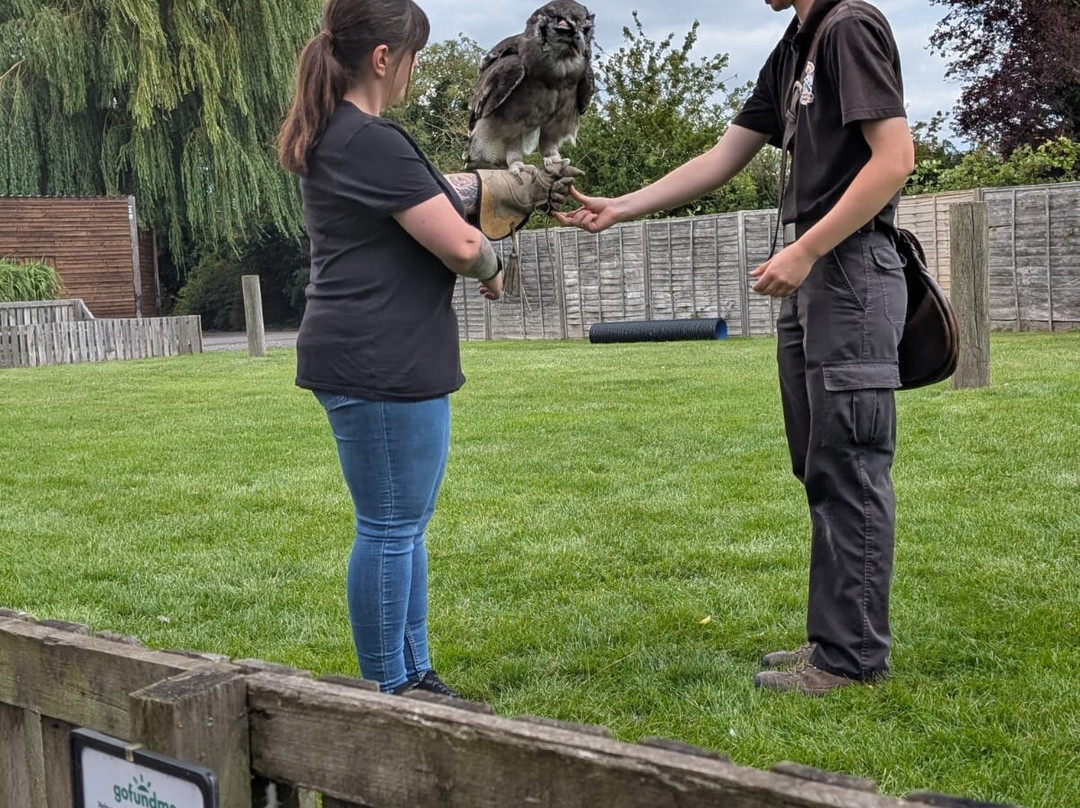 Baytree Owl and Raptor Centre-Spalding必去景点