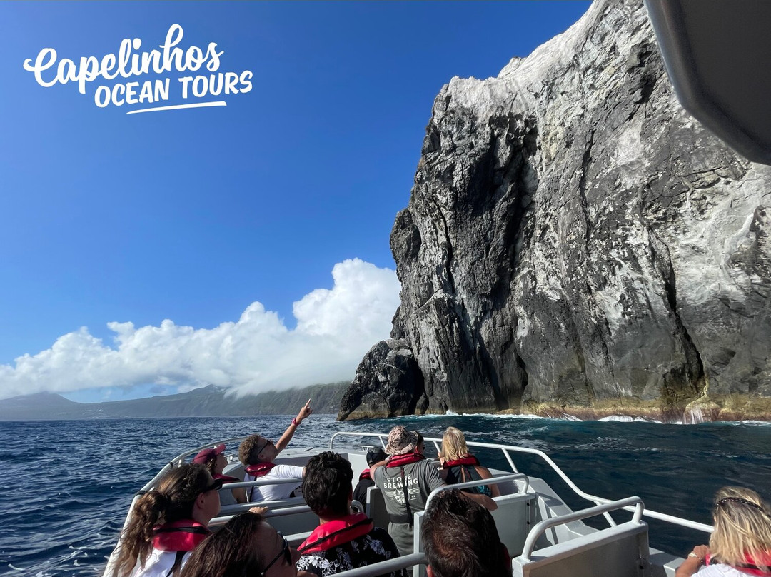 Capelinhos Ocean Tours-奥尔塔必去景点