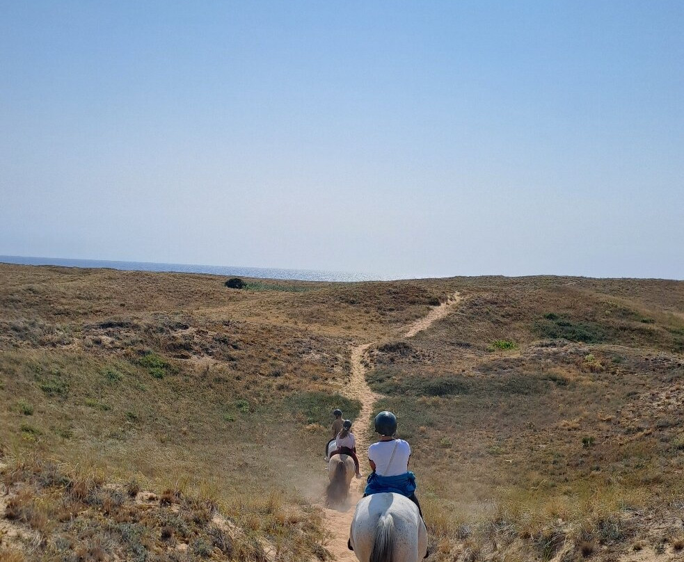 Les Ecuries de la Sauzaie-Bretignolles Sur Mer必去景点