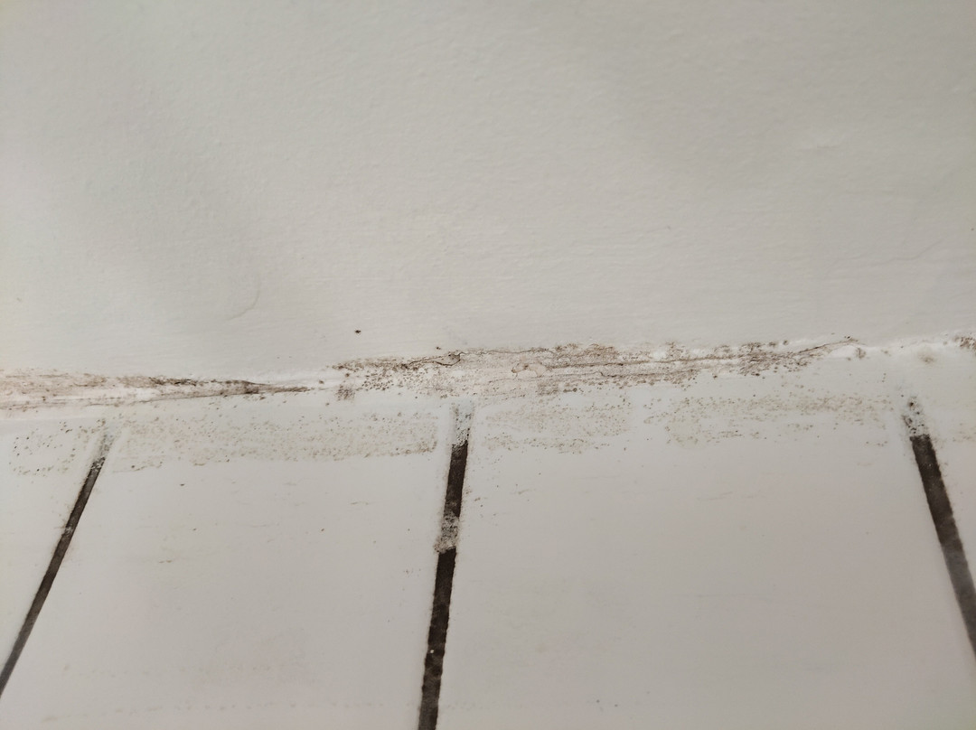 Ibis Budget Limoges主图