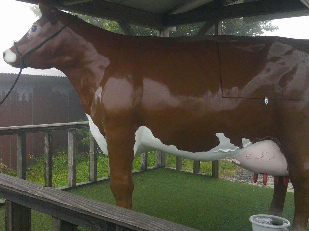 Tsuchida Farm-仁贺保市必去景点