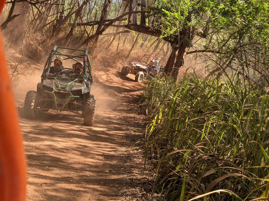 Coral Crater Adventure Park-考普雷必去景点