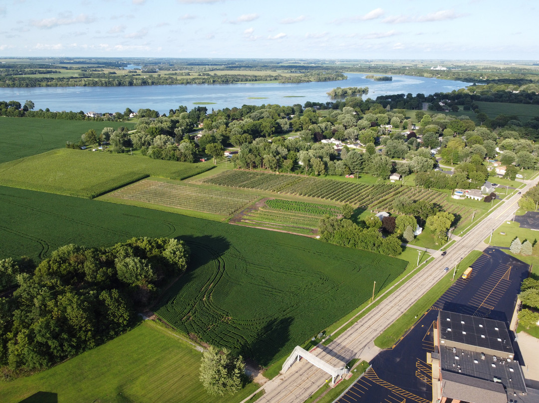 Selmi's Greenhouse and Family Farm-Rock Falls必去景点