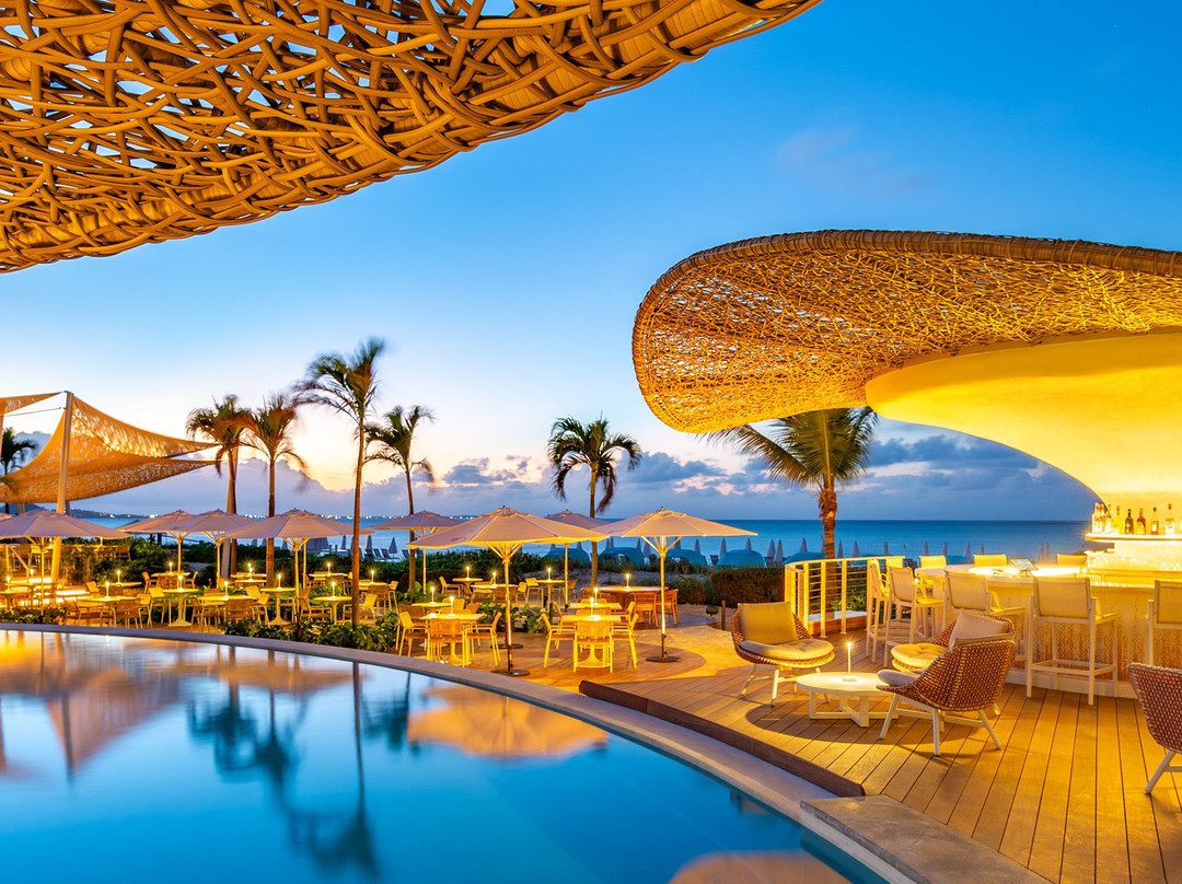 特克斯和凯科斯酒店住宿-The Palms Turks and Caicos