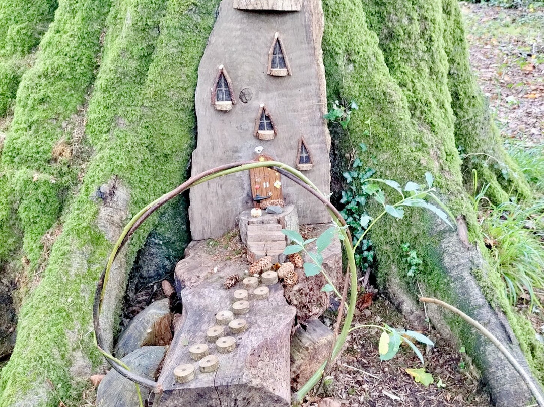 Picton Castle Gardens-哈弗福韦斯特必去景点