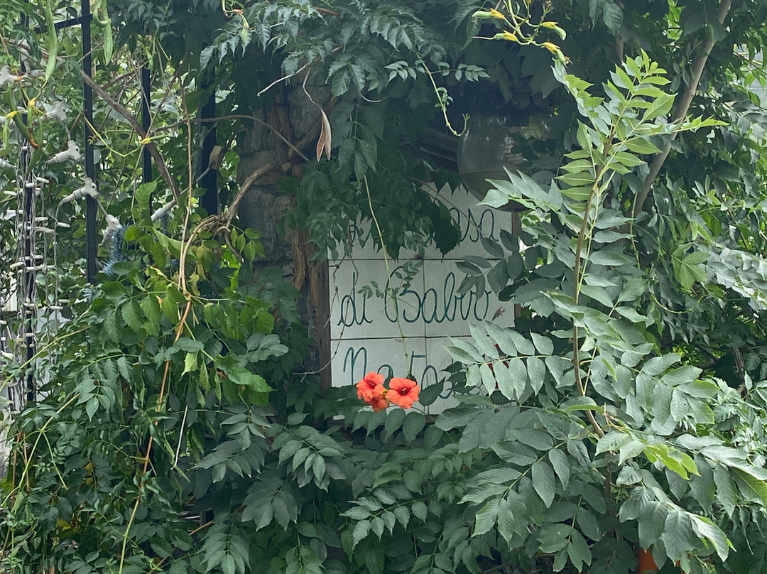 Museo Tassi Carlo-Nus必去景点