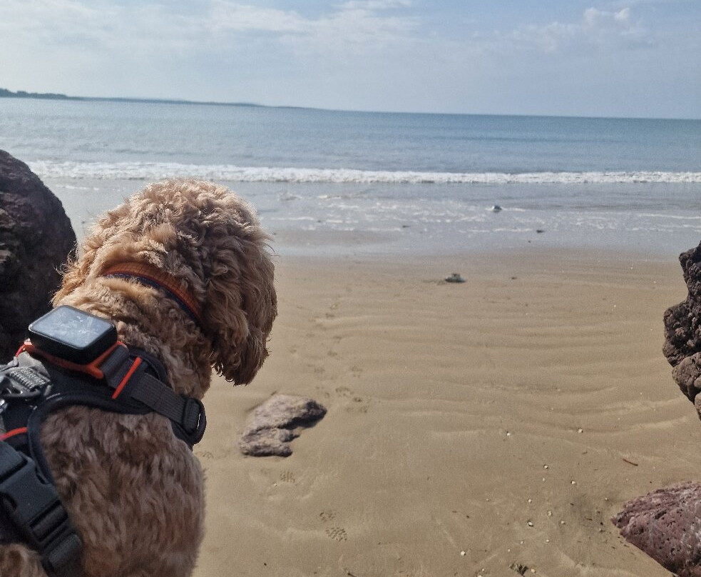 Llansteffan Beach-Llansteffan必去景点