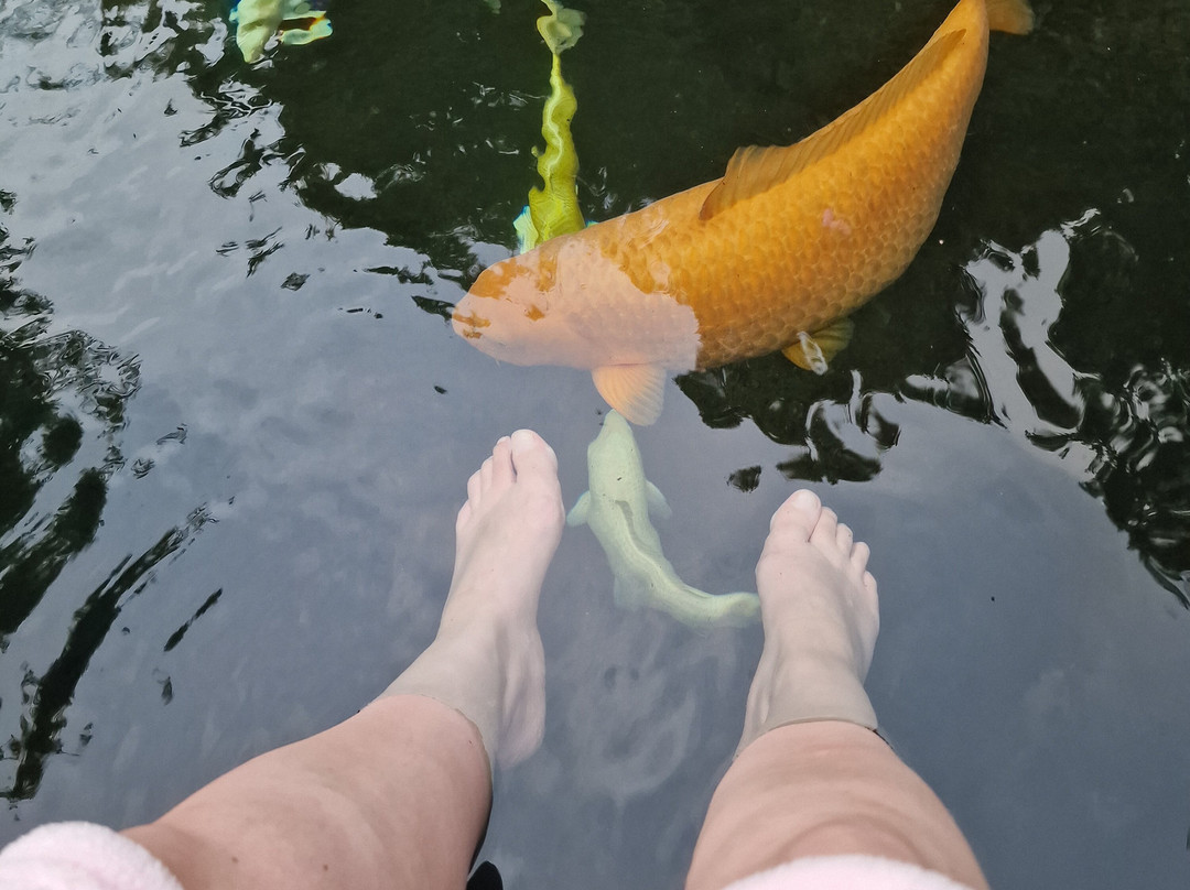 Well-Care Privé Wellness & Spa-Zutendaal必去景点