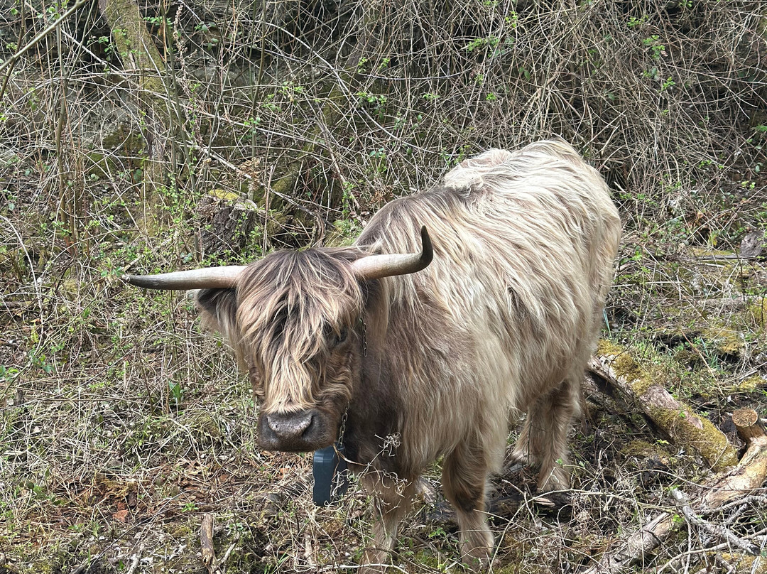 Twywell Hills and Dales-凯特林必去景点