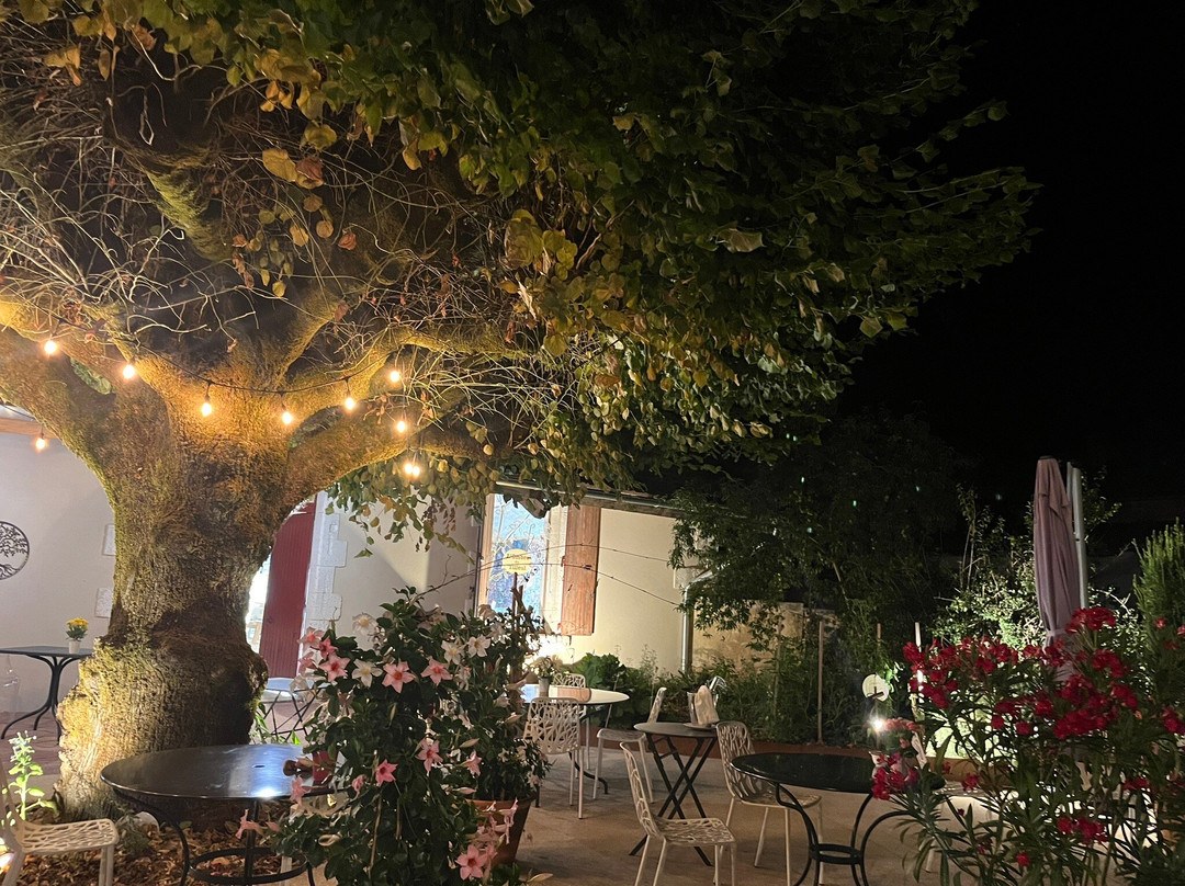 Le Tilleul Du Gourmet