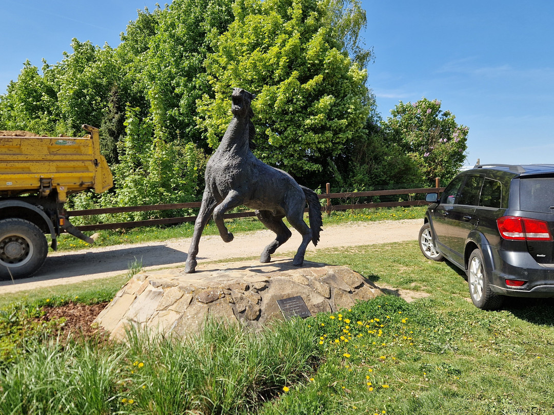 Battlefield Austerlitz-布尔诺必去景点